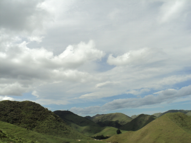 Name:  picture 7089.jpg
Views: 475
Size:  159.8 KB