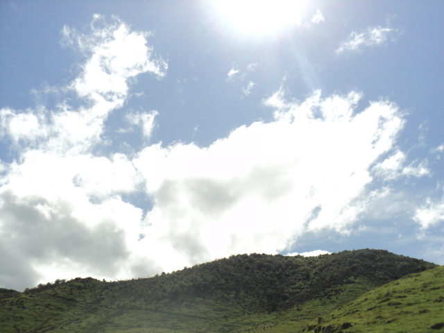 Name:  picture 7088.jpg
Views: 412
Size:  165.0 KB