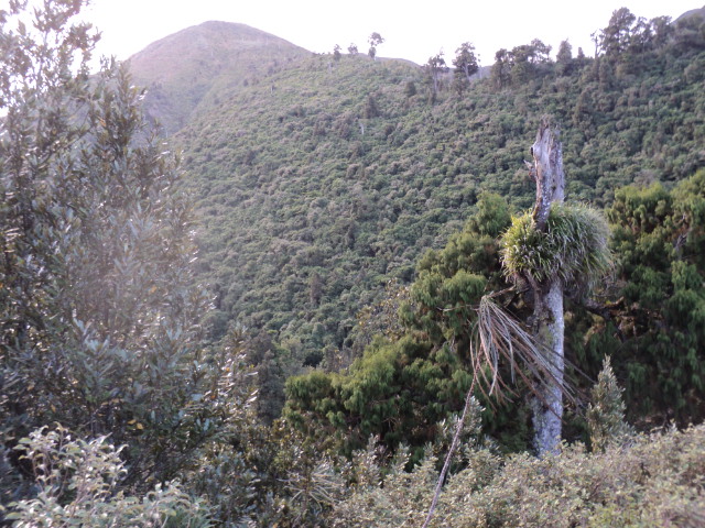 Name:  picture 5516.jpg
Views: 455
Size:  165.0 KB