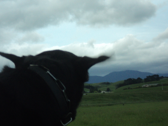 Name:  picture 7106.jpg
Views: 391
Size:  157.9 KB