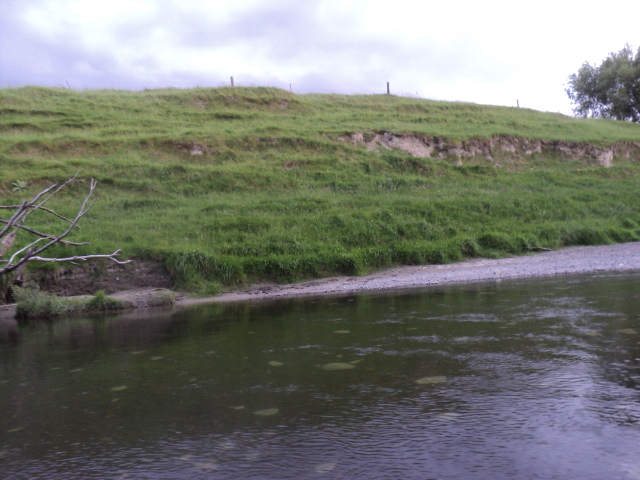 Name:  picture 7158.jpg
Views: 791
Size:  162.1 KB