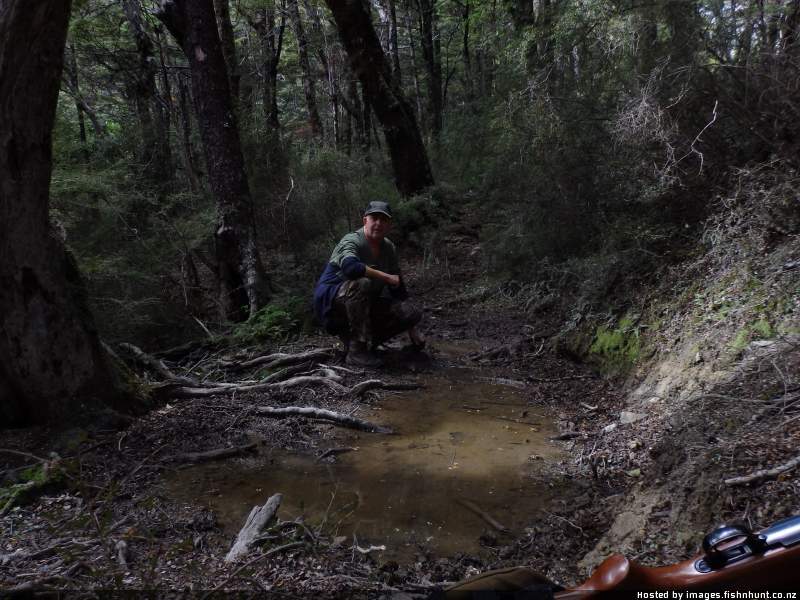 Name:  Wallow_2015_1.jpg
Views: 521
Size:  80.3 KB