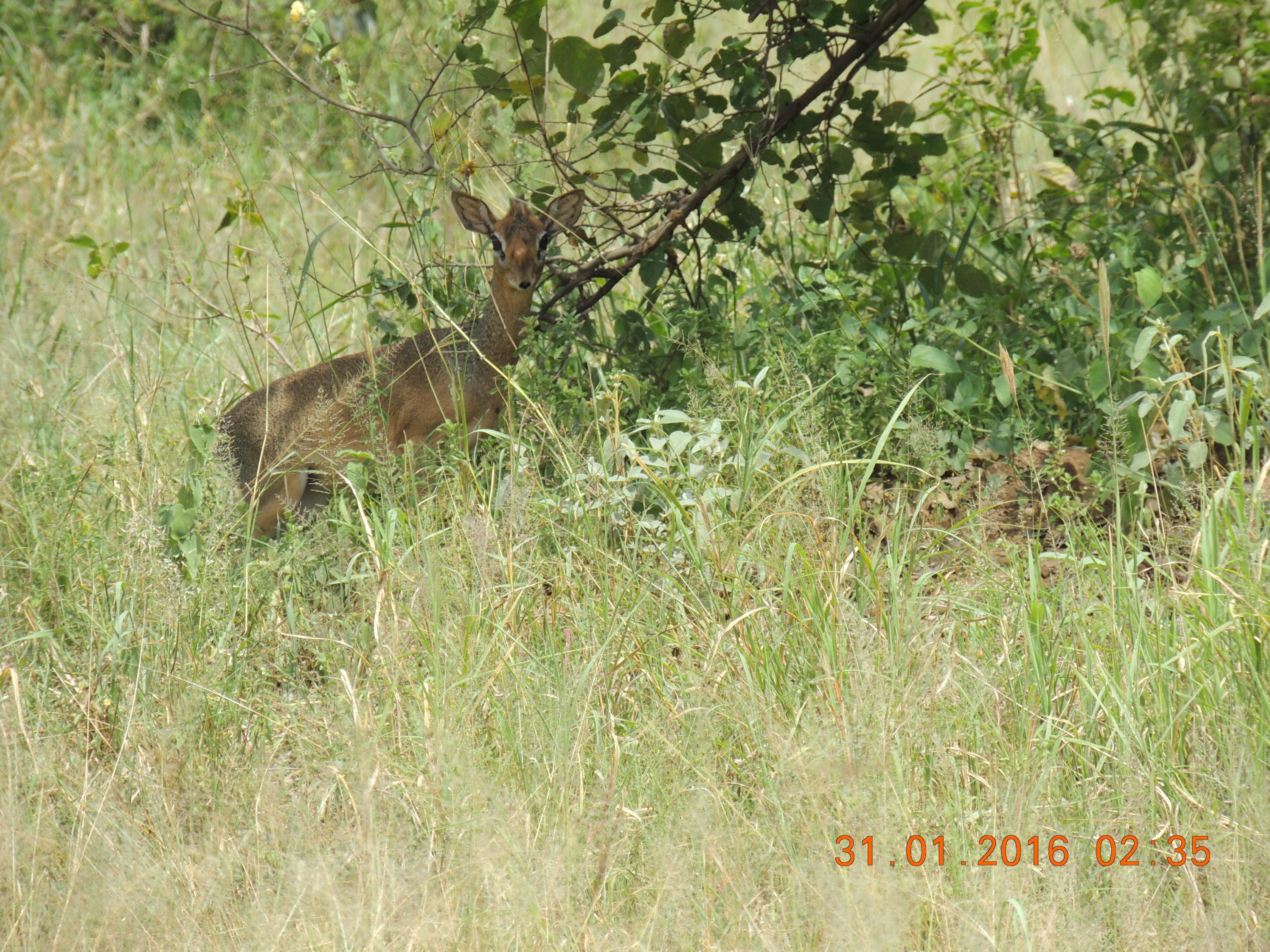 Name:  DSCN1721.jpg
Views: 389
Size:  1.13 MB
