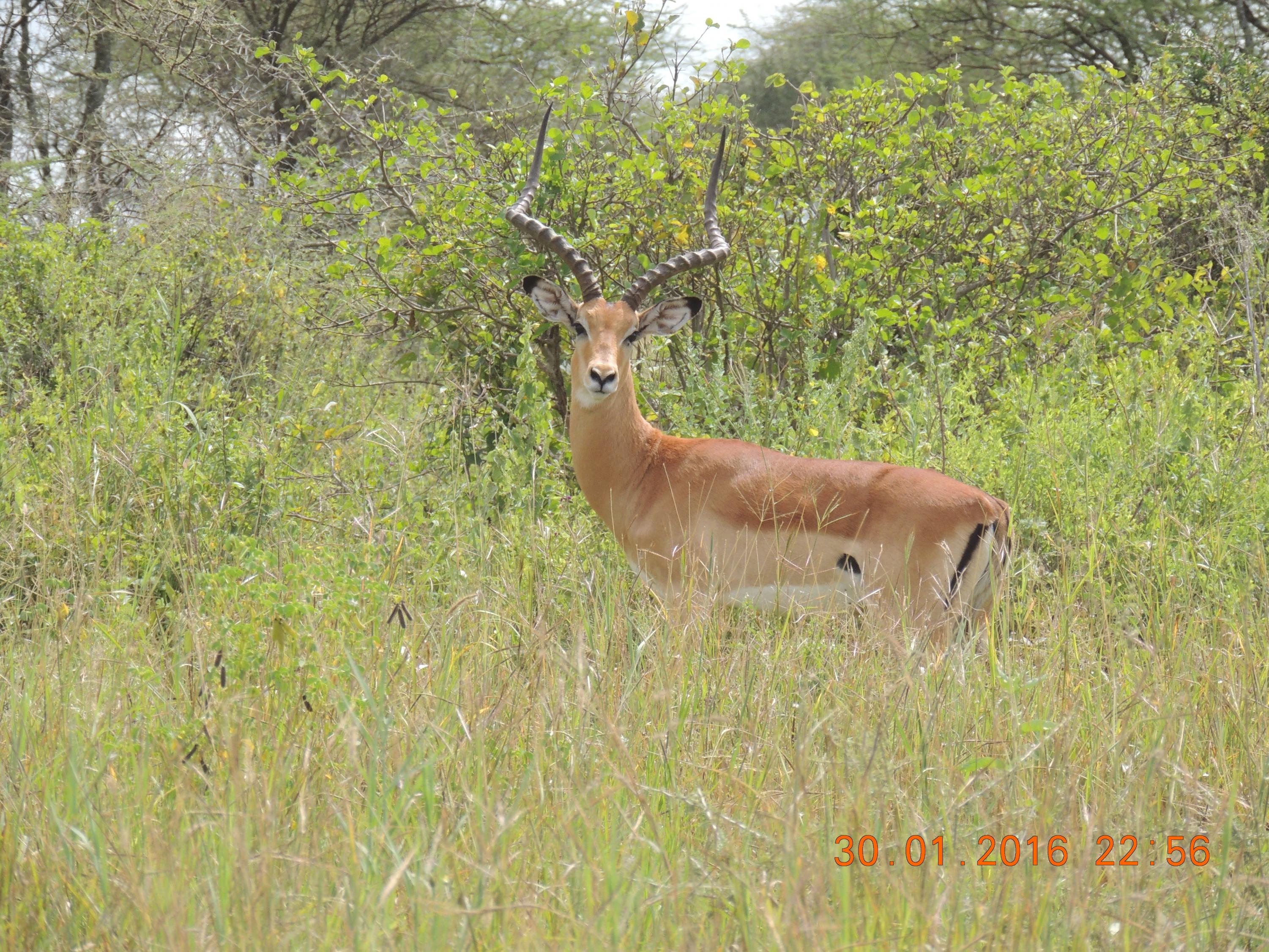 Name:  DSCN1640.jpg
Views: 421
Size:  1.15 MB