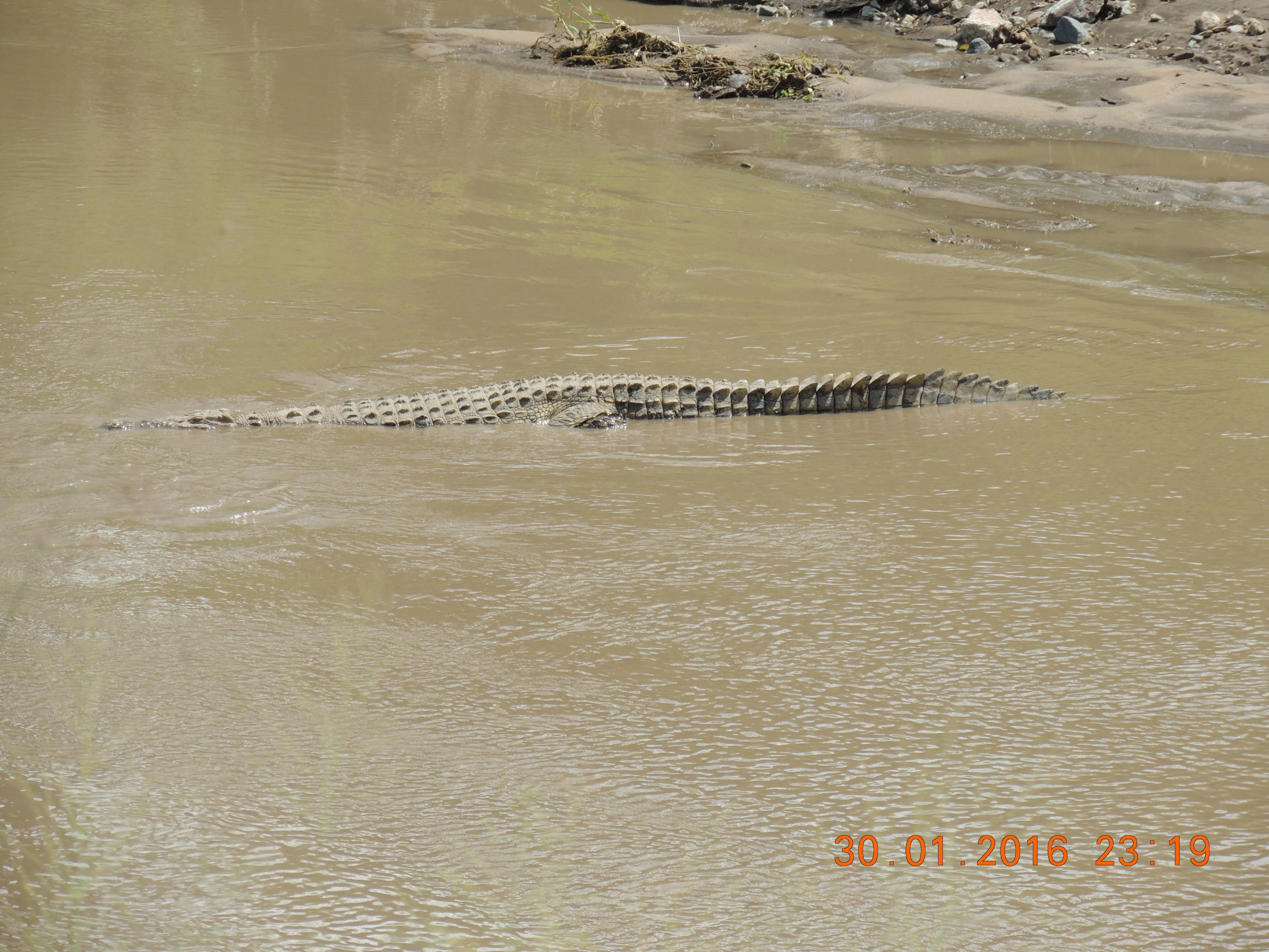 Name:  DSCN1648.jpg
Views: 340
Size:  1.04 MB