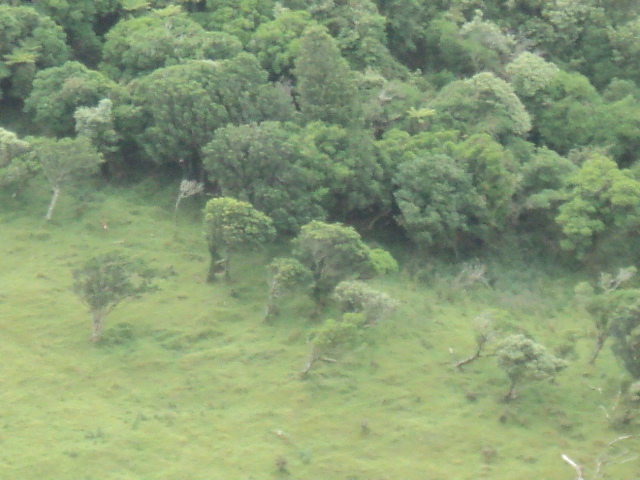 Name:  picture 7778.jpg
Views: 883
Size:  165.1 KB