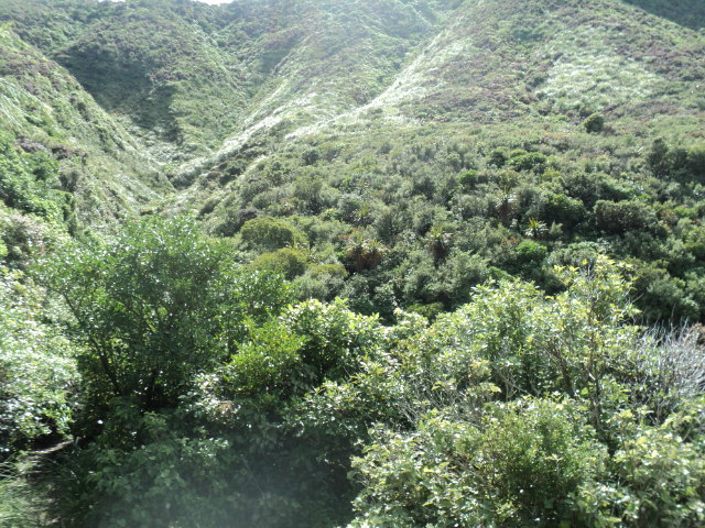 Name:  picture 8116.jpg
Views: 670
Size:  164.0 KB