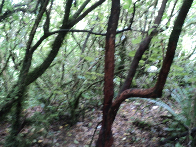 Name:  picture 8118.jpg
Views: 626
Size:  163.1 KB