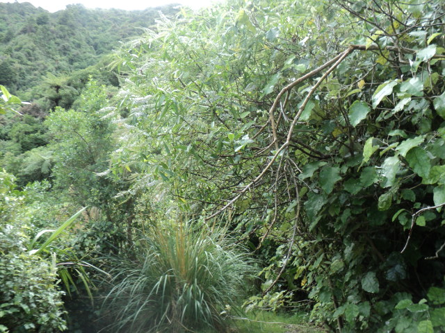 Name:  picture 8119.jpg
Views: 636
Size:  163.7 KB