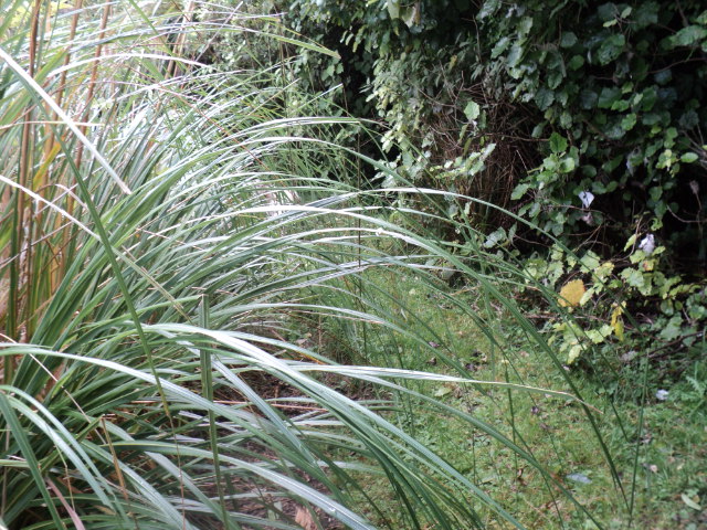 Name:  picture 8120.jpg
Views: 635
Size:  164.1 KB