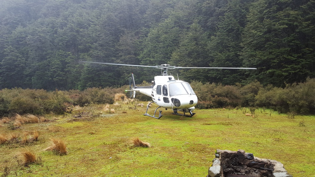 Name:  chopper.jpg
Views: 720
Size:  372.7 KB
