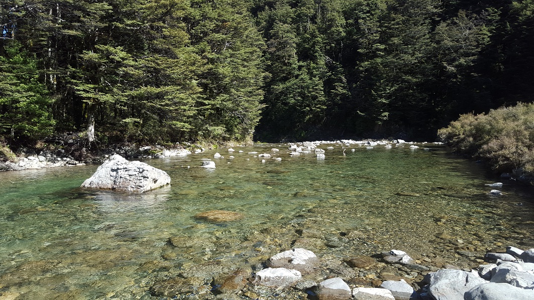 Name:  river.jpg
Views: 708
Size:  445.4 KB