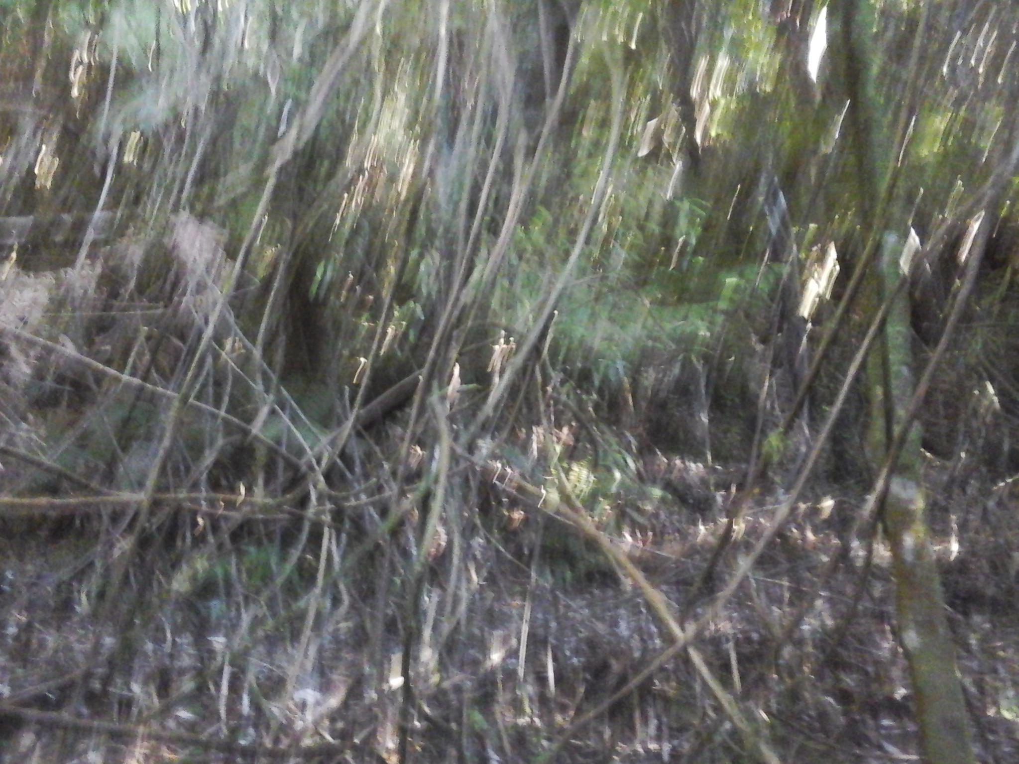 Name:  20160416_074720.jpg
Views: 506
Size:  336.8 KB
