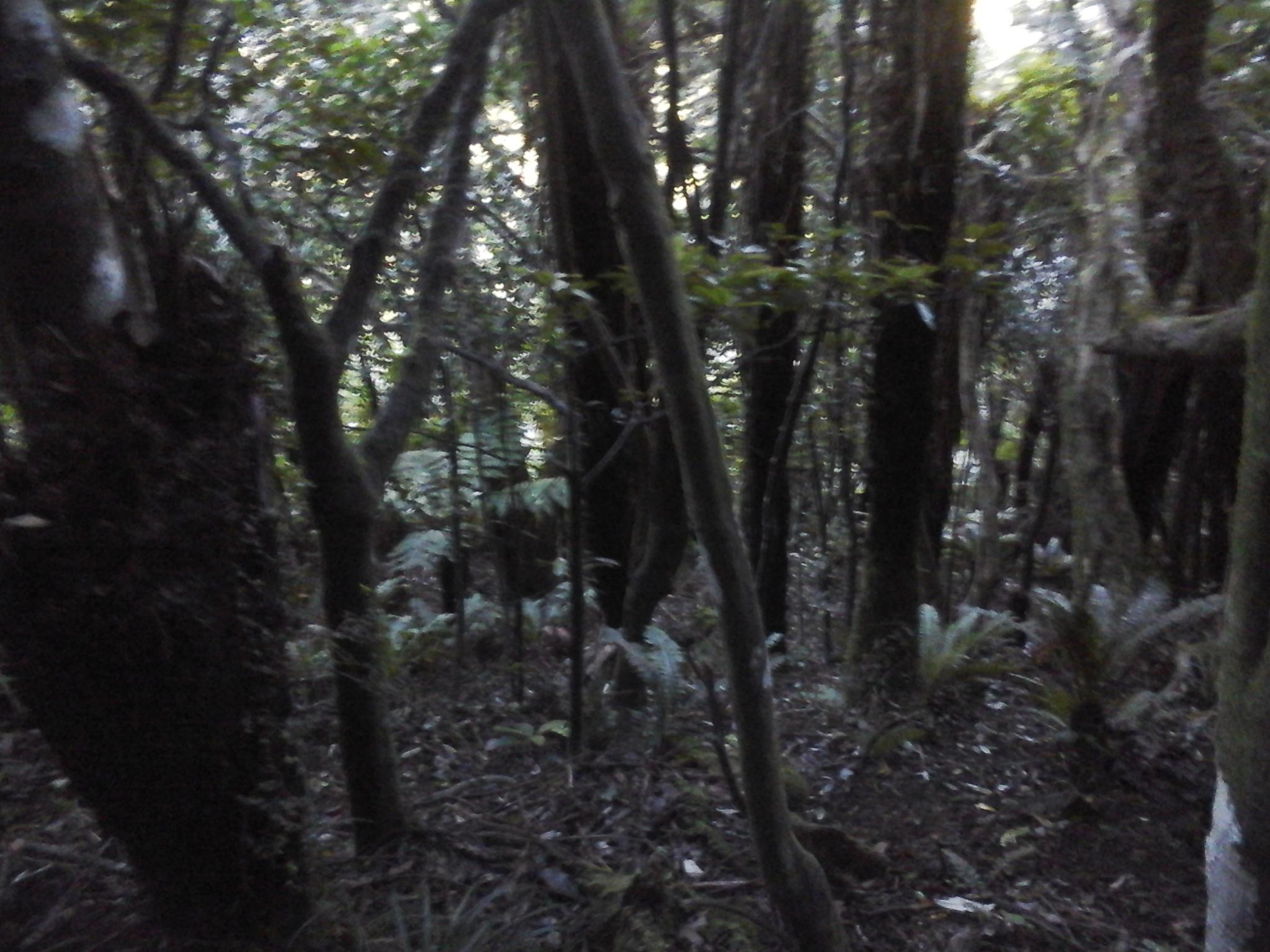 Name:  20160416_082219.jpg
Views: 489
Size:  291.2 KB