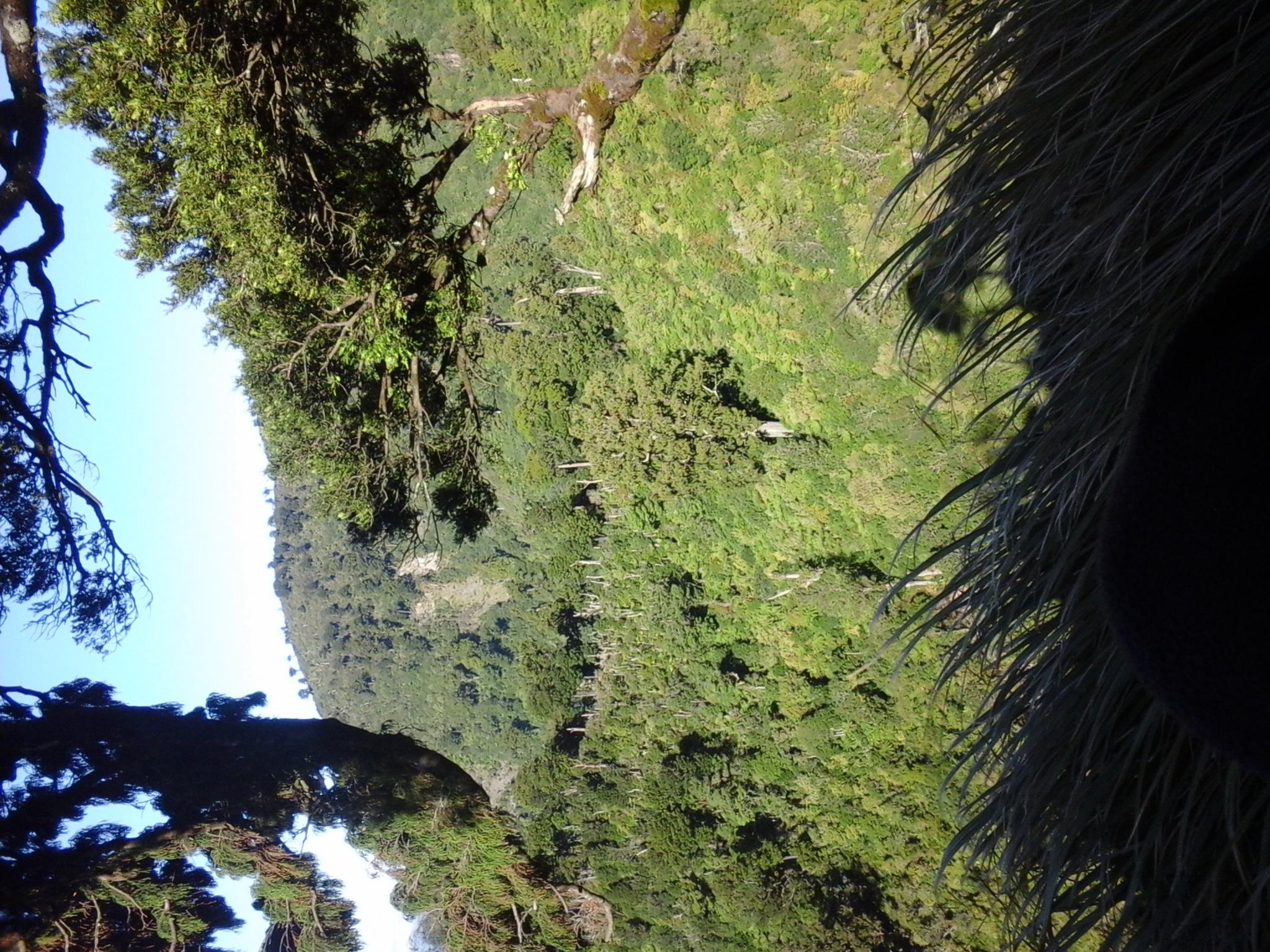 Name:  20160416_093442.jpg
Views: 512
Size:  568.7 KB