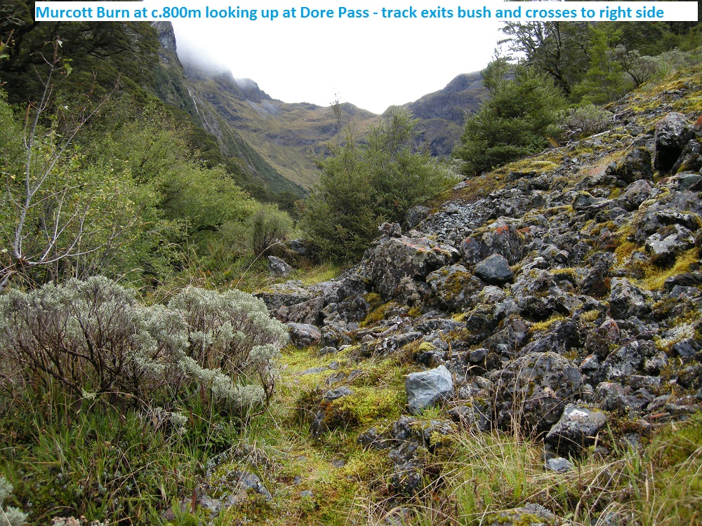 Name:  a- Murcott Burn at 800m.jpg
Views: 2140
Size:  528.0 KB