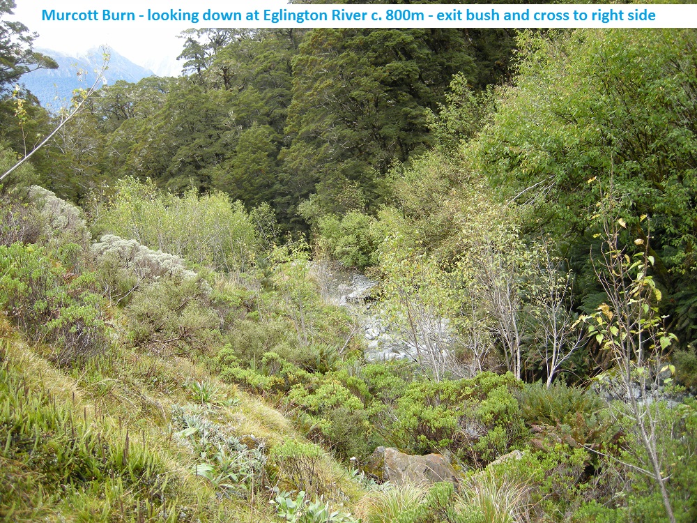 Name:  b - Murcott Burn view down at c.800m.jpg
Views: 1716
Size:  557.5 KB