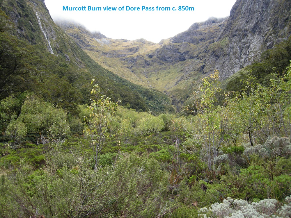 Name:  c- Murcott Burn c.850m.jpg
Views: 1895
Size:  467.7 KB