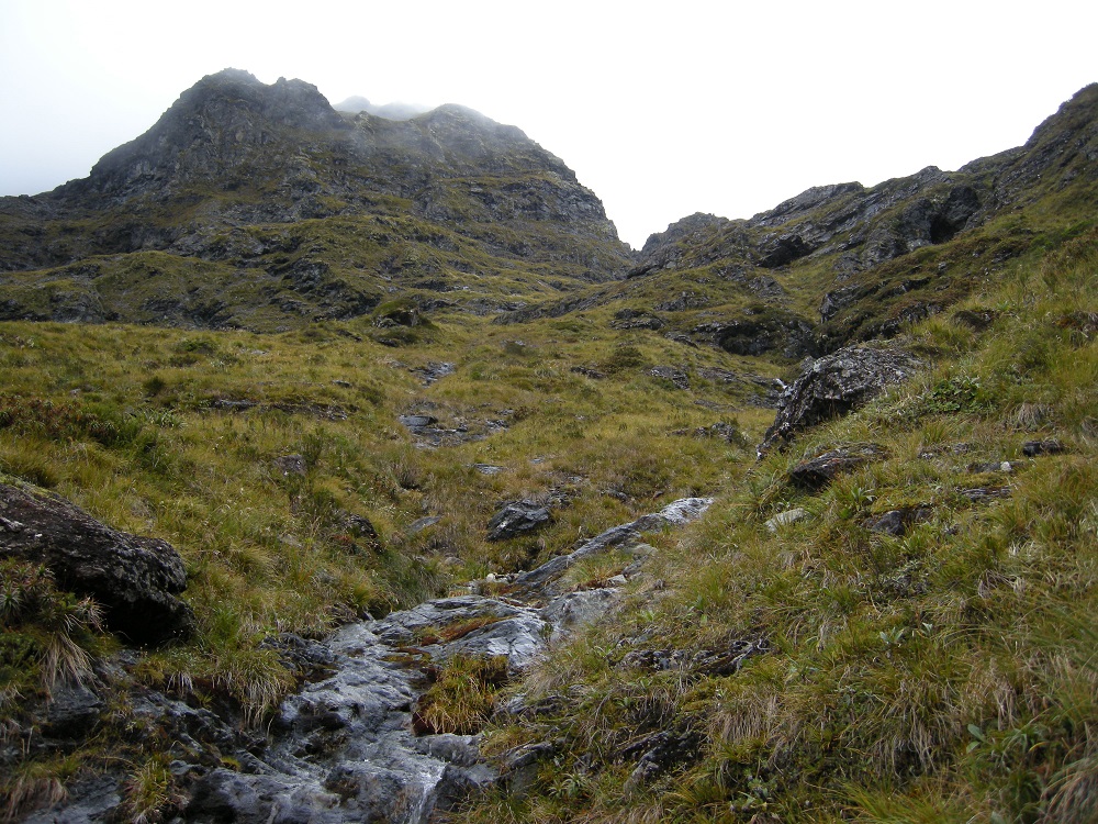 Name:  e -Looking up Dore Pass c.1000m.jpg
Views: 1660
Size:  387.0 KB