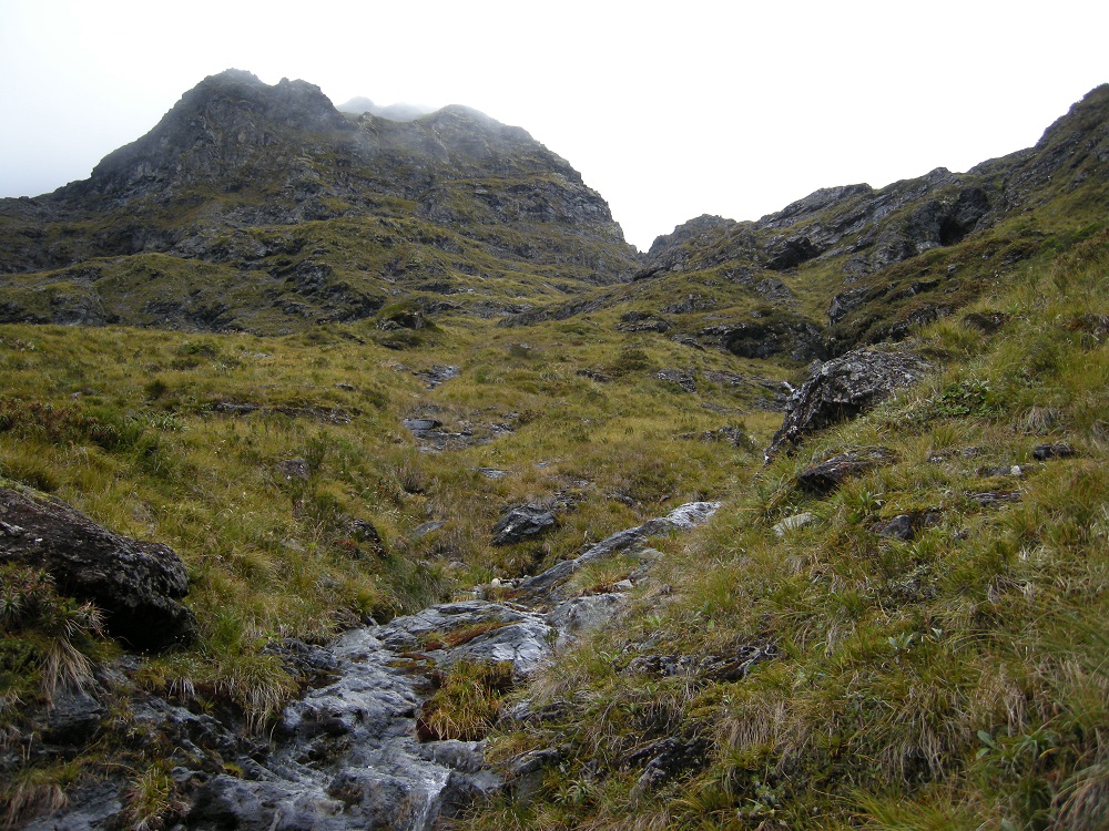 Name:  e -Looking up Dore Pass c.1000m.jpg
Views: 1812
Size:  387.0 KB