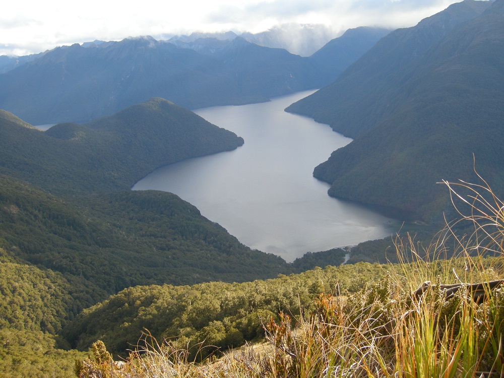 Name:  Glade Burn - Lake Te Anau.jpg
Views: 1858
Size:  281.4 KB