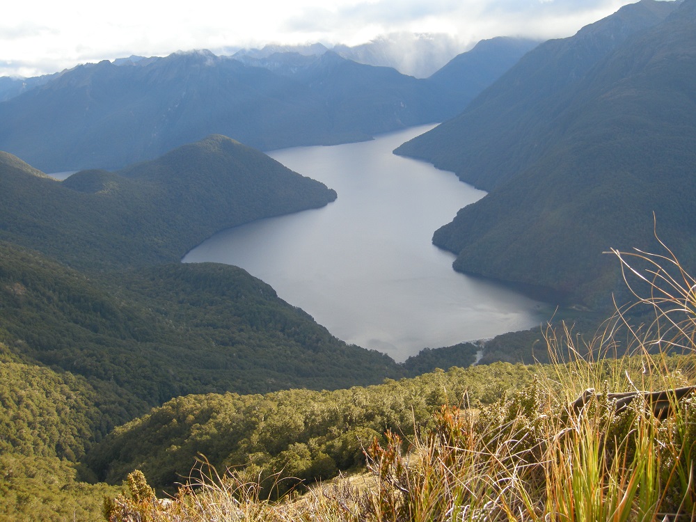 Name:  Glade Burn - Lake Te Anau.jpg
Views: 1705
Size:  281.4 KB