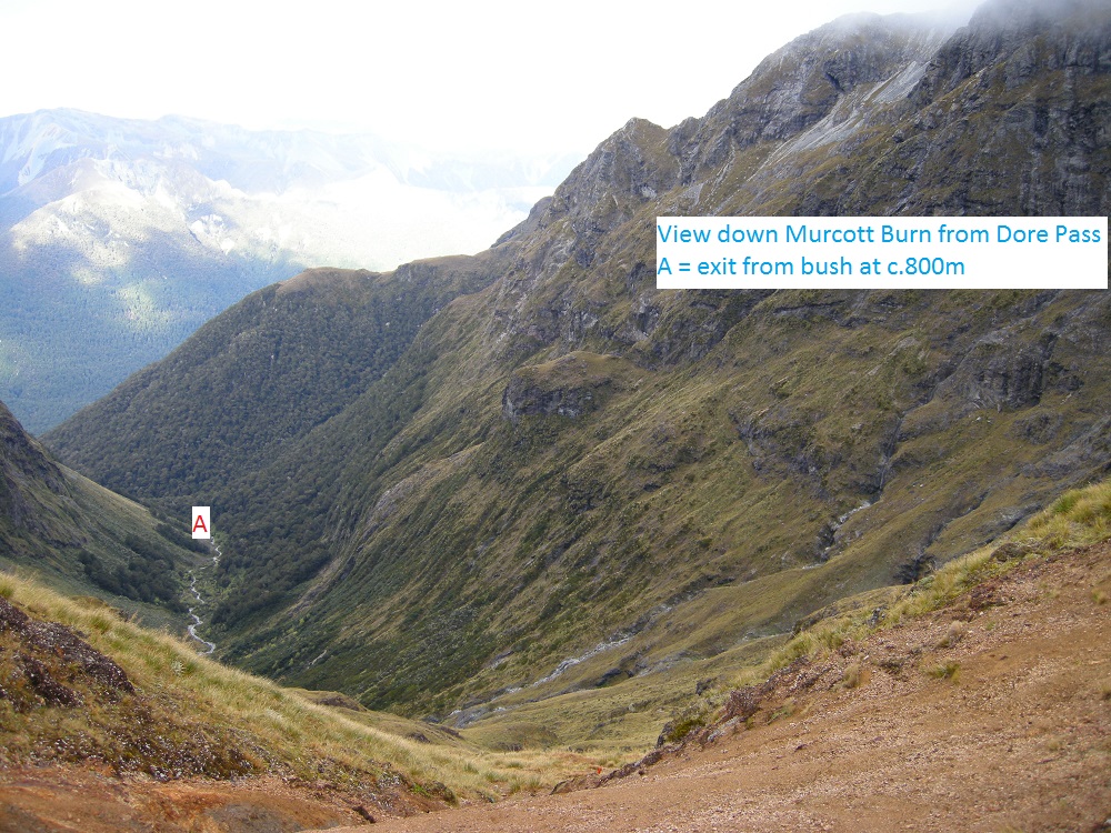 Name:  h - View down Murcott Burn from Dore Pass.jpg
Views: 1828
Size:  369.0 KB