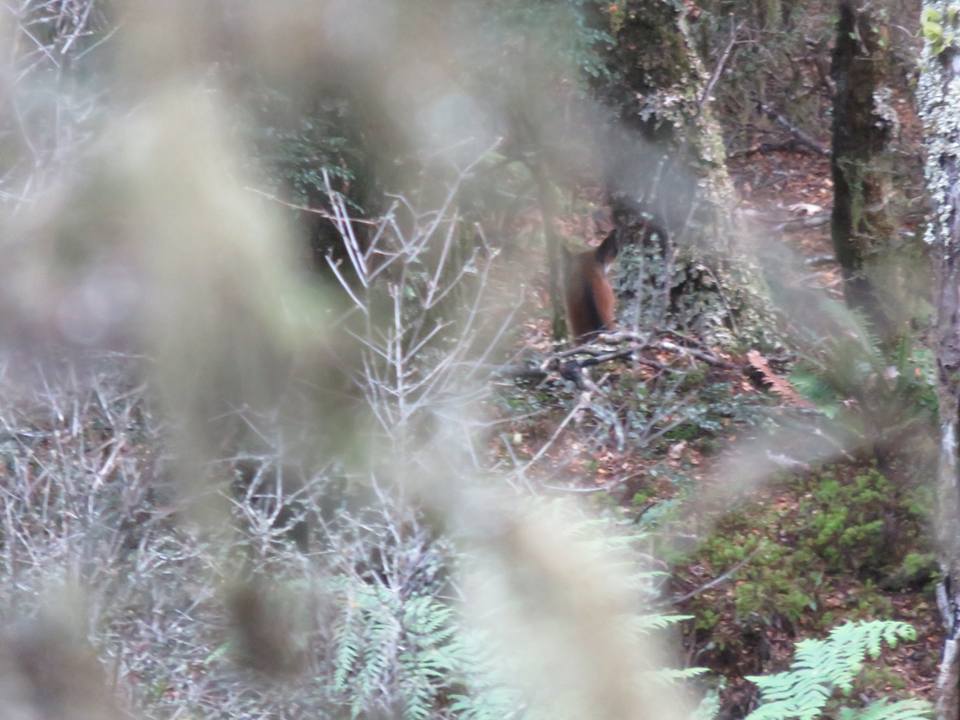 Name:  2.jpg
Views: 568
Size:  80.4 KB