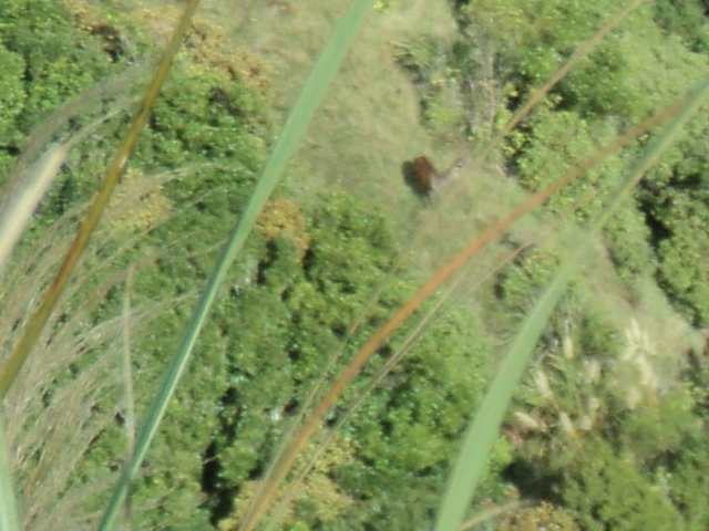 Name:  picture 8394.jpg
Views: 297
Size:  164.7 KB