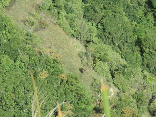 Name:  picture 8396.jpg
Views: 290
Size:  164.1 KB