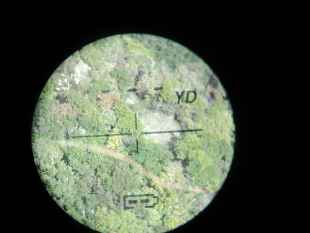Name:  picture 8397.jpg
Views: 271
Size:  164.8 KB