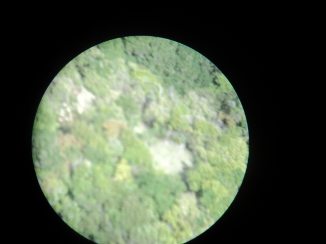 Name:  picture 8398.jpg
Views: 274
Size:  163.8 KB