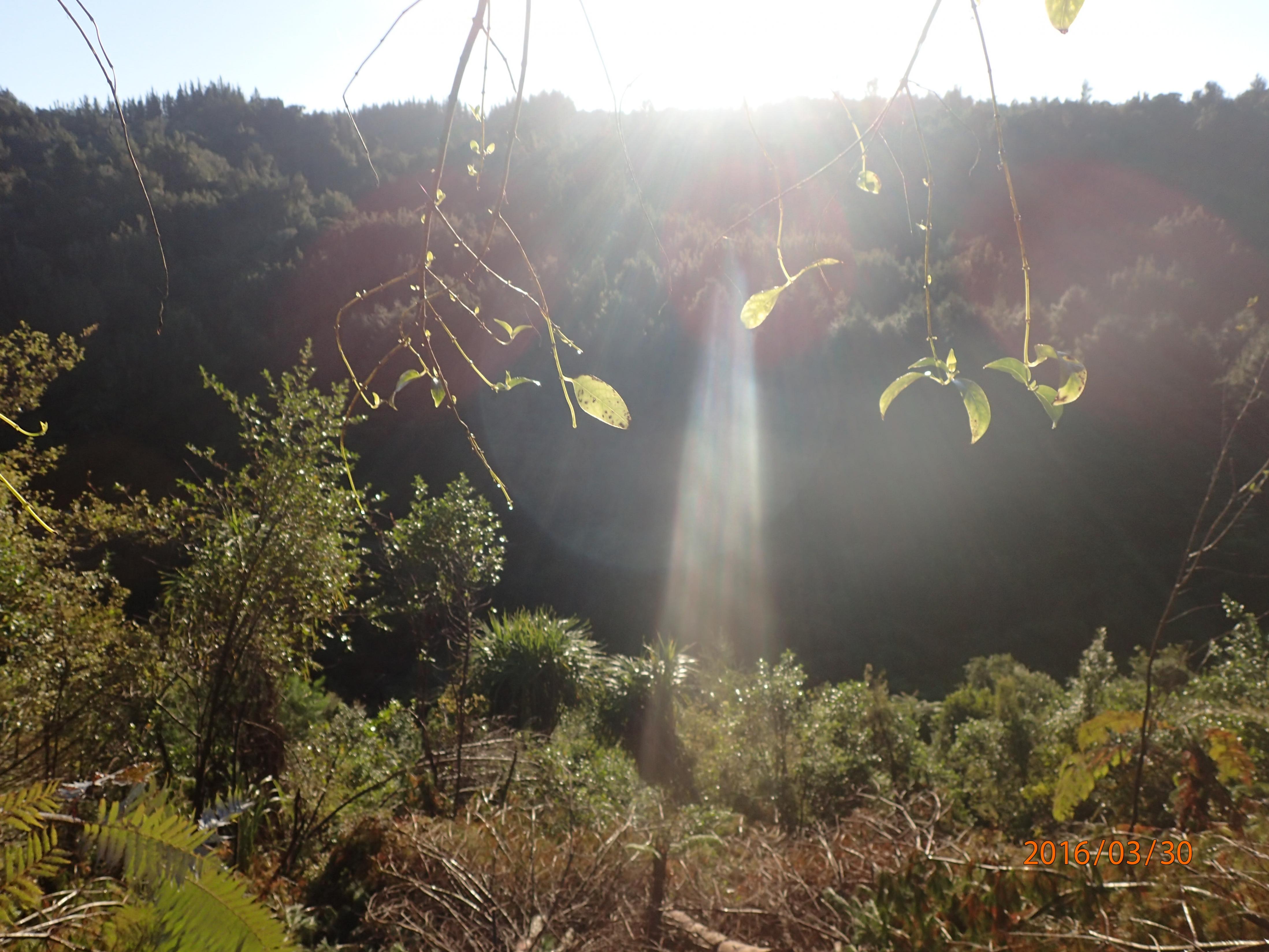 Name:  P3300124.jpg
Views: 445
Size:  983.0 KB