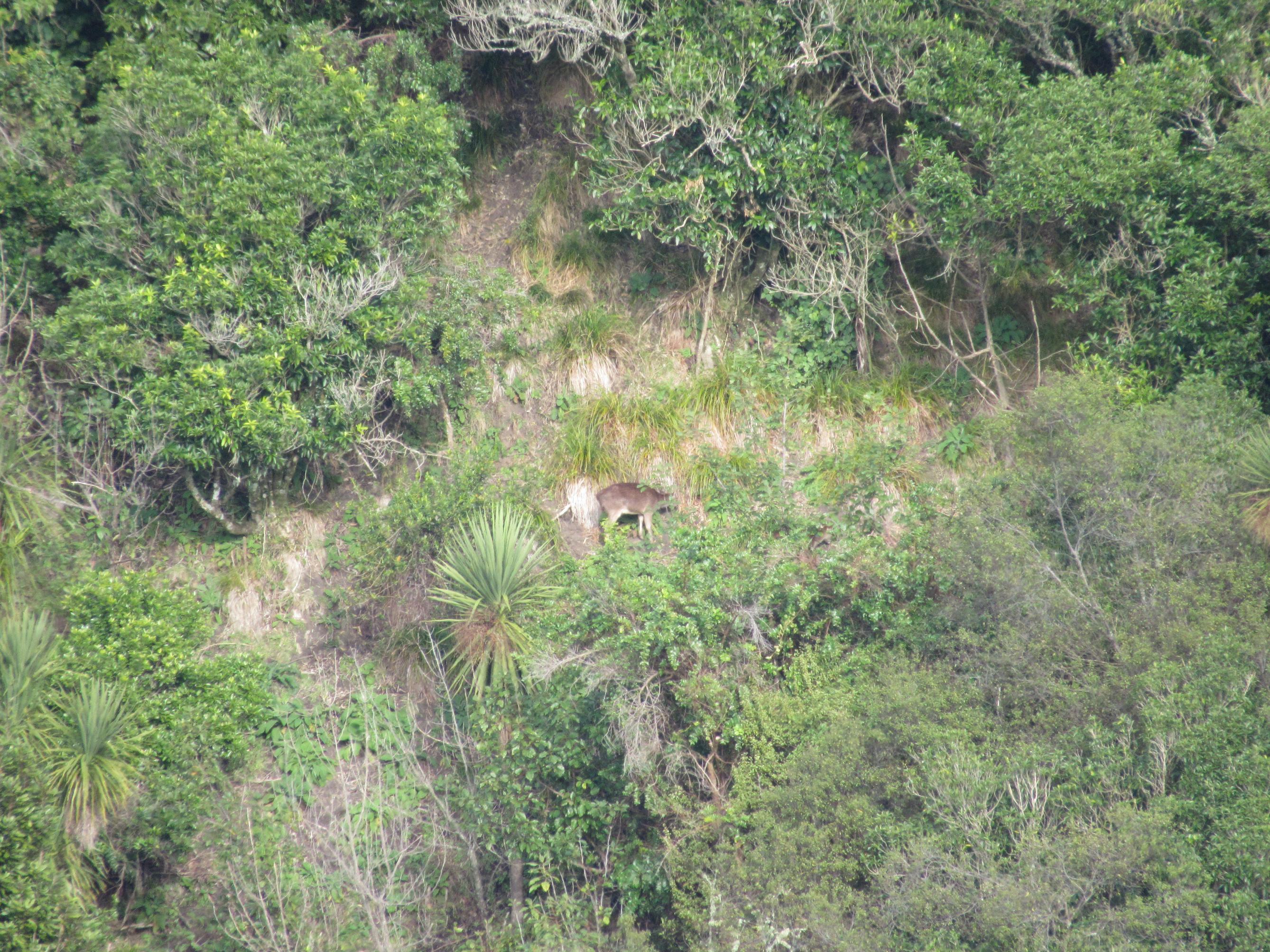 Name:  IMG_0041.jpg
Views: 959
Size:  1.05 MB