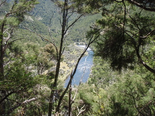Name:  P2180012.jpg
Views: 423
Size:  53.8 KB