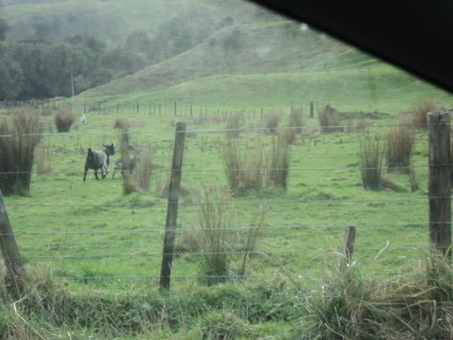 Name:  picture 8875.jpg
Views: 538
Size:  165.2 KB