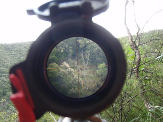 Name:  P3100073.jpg
Views: 431
Size:  31.8 KB