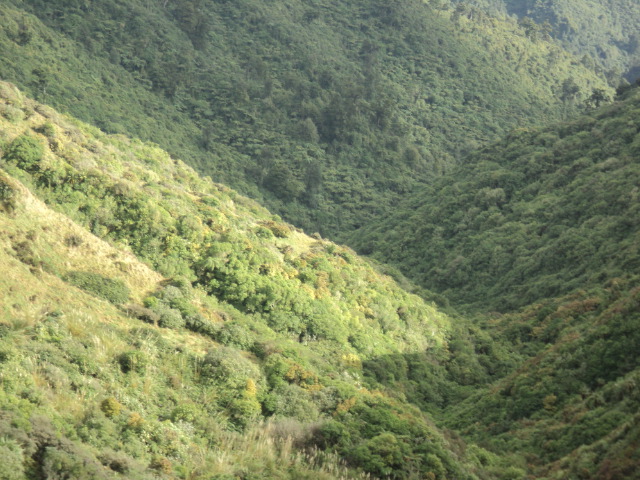Name:  picture 8871.jpg
Views: 538
Size:  163.3 KB