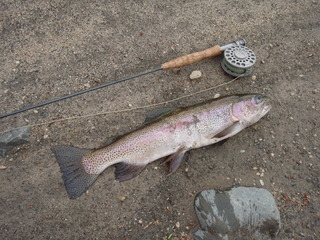 Name:  P1010008.jpg
Views: 421
Size:  44.1 KB