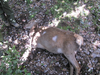 Name:  IMG_4091.jpg
Views: 418
Size:  54.1 KB