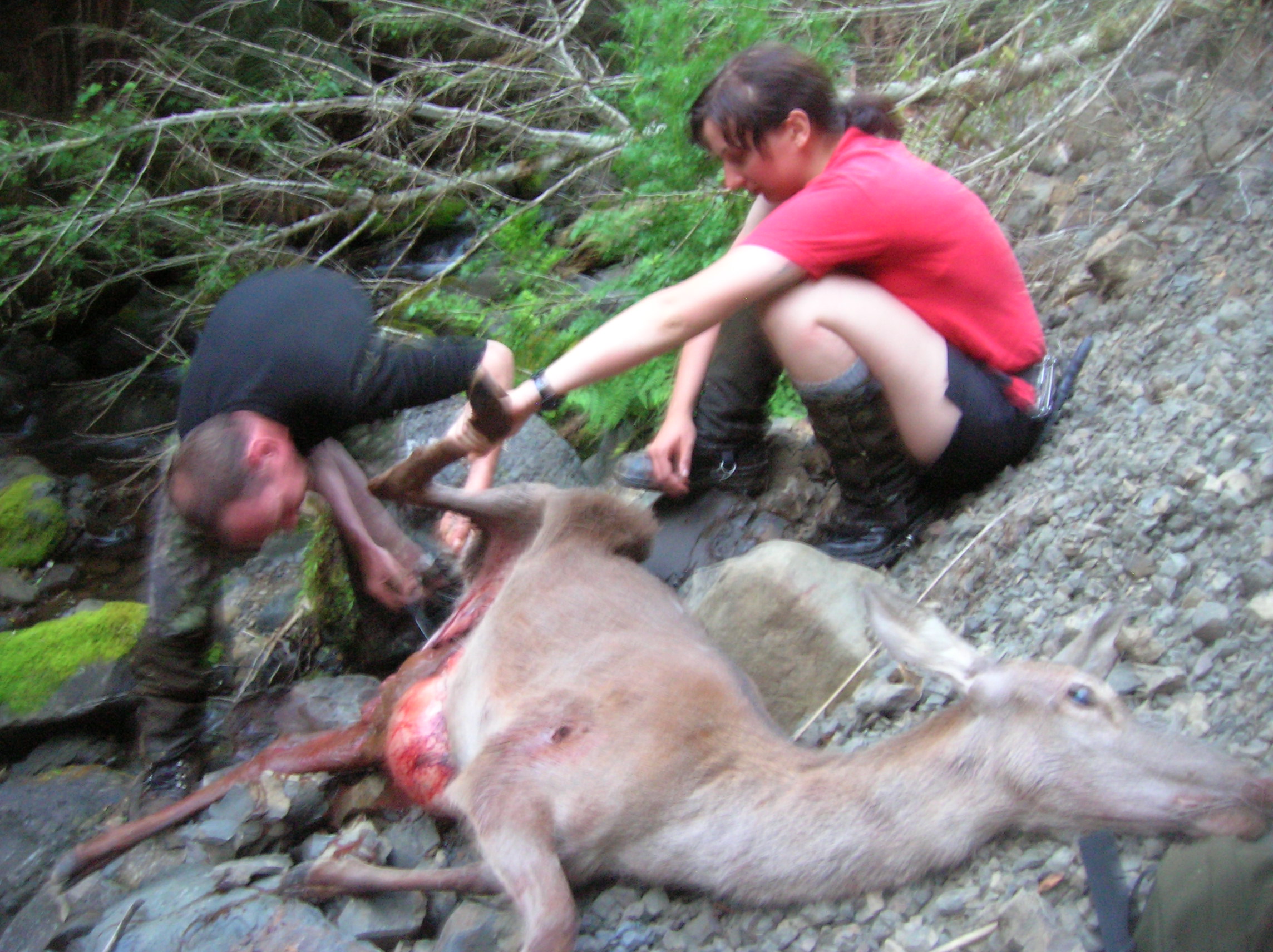Name:  2shotkill!.JPG
Views: 8690
Size:  788.2 KB