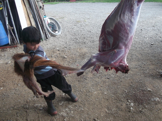 Name:  020 (640x480).jpg
Views: 385
Size:  338.5 KB