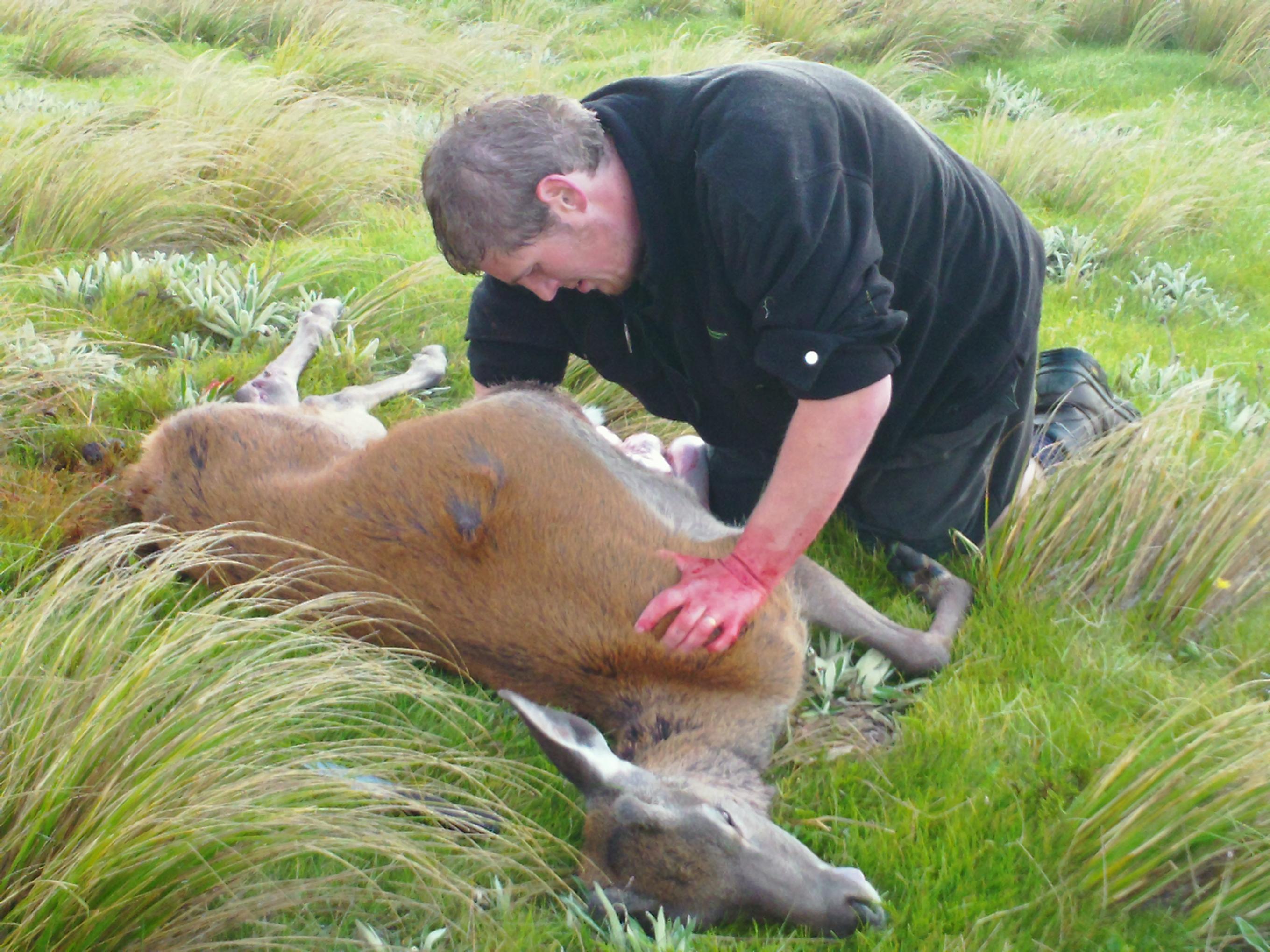 Name:  Marks first deer 012.jpg
Views: 746
Size:  596.1 KB