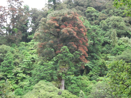 Name:  tumblr_mfma1aiYGE1rw1rr4o1_500.jpg
Views: 402
Size:  229.0 KB