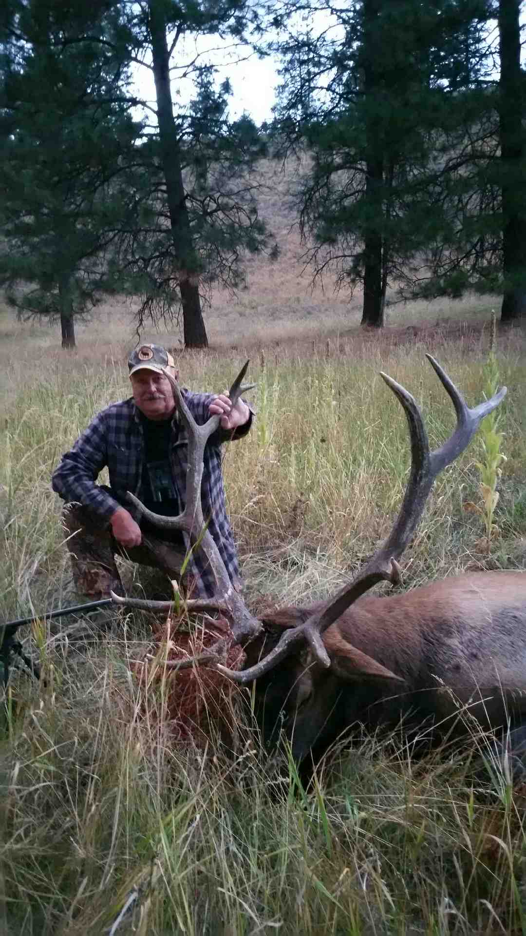 Name:  Uncle Tim with Bull Elk 2016.jpg
Views: 400
Size:  166.5 KB