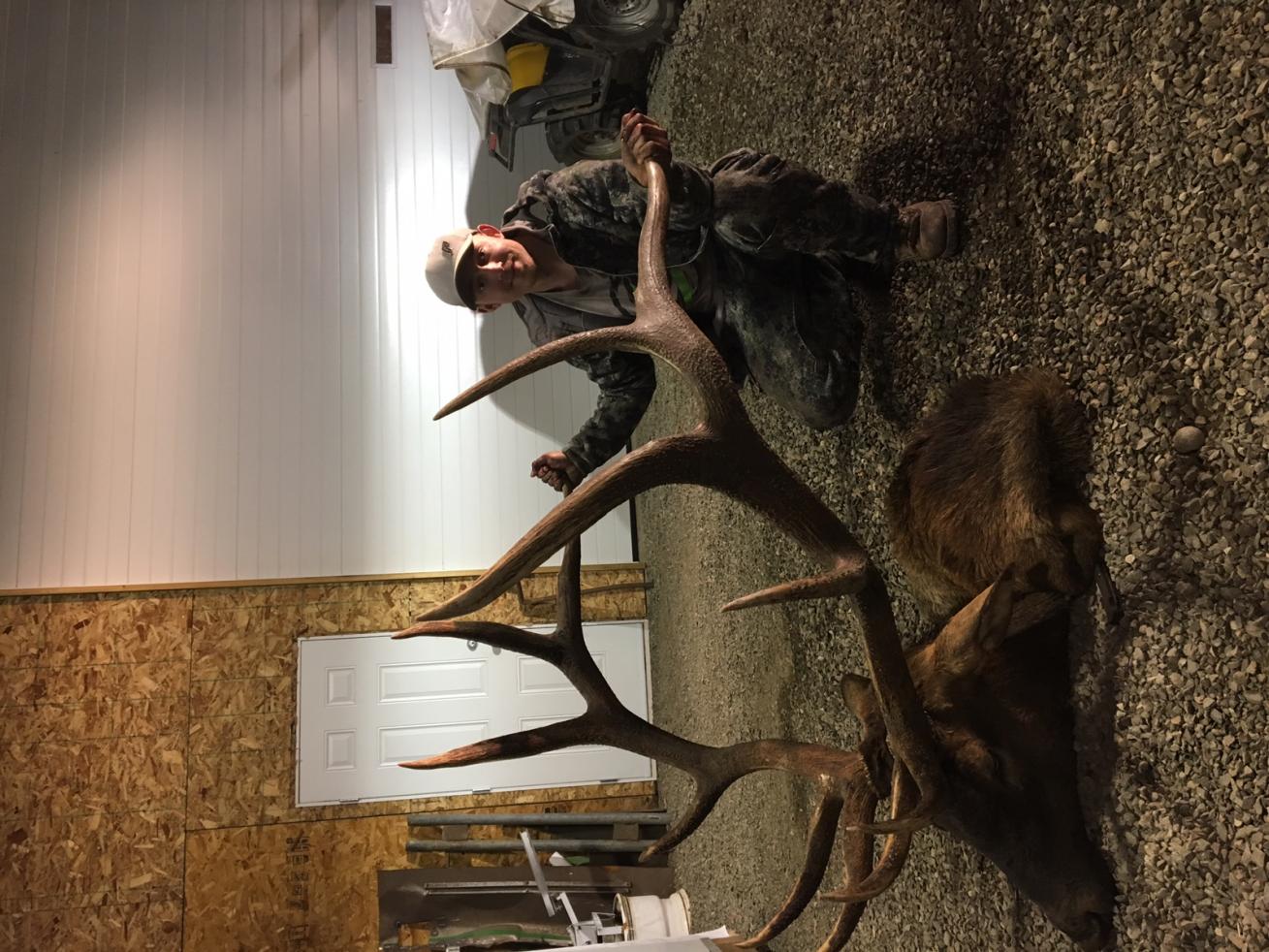 Name:  Bob's Girlfriends Sons 350+ Bull.jpg
Views: 203
Size:  198.3 KB