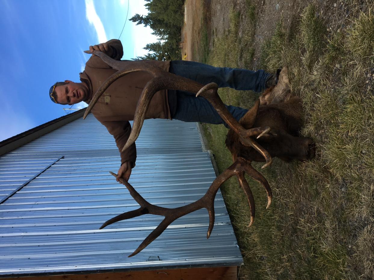 Name:  Kev with Big 350+ Bull from Whipsaw 2016.jpg
Views: 173
Size:  200.4 KB