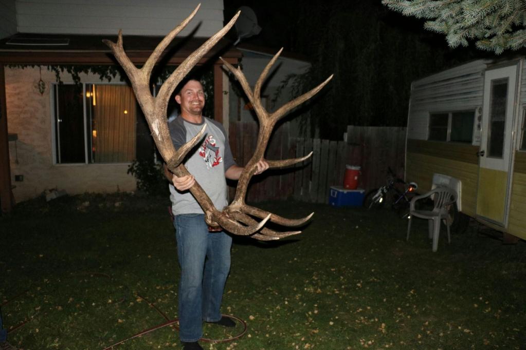 Name:  Massive Bull Elk from Tulamine 412 BC.jpeg
Views: 162
Size:  89.3 KB
