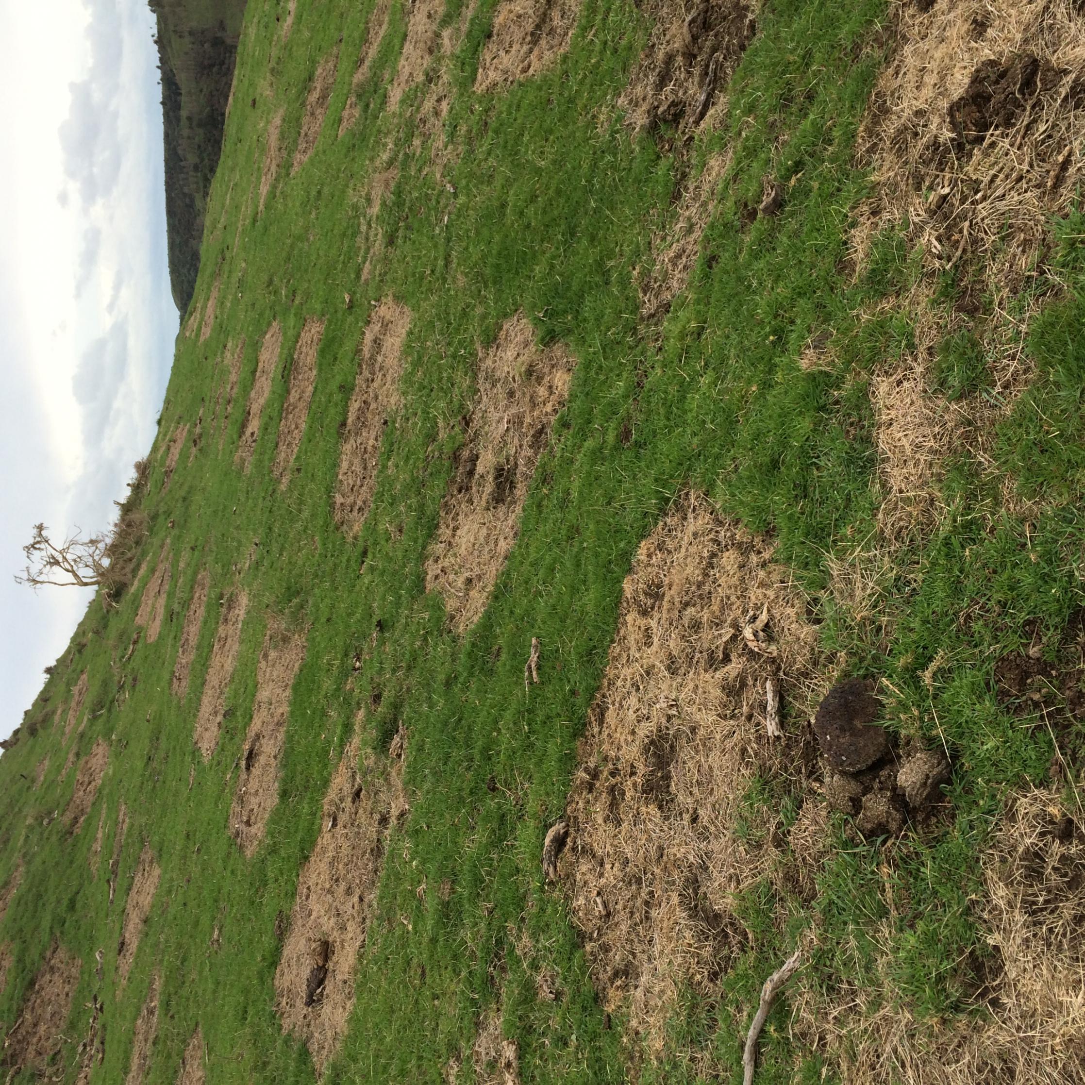 Name:  IMG_1652.jpg
Views: 573
Size:  1,022.1 KB