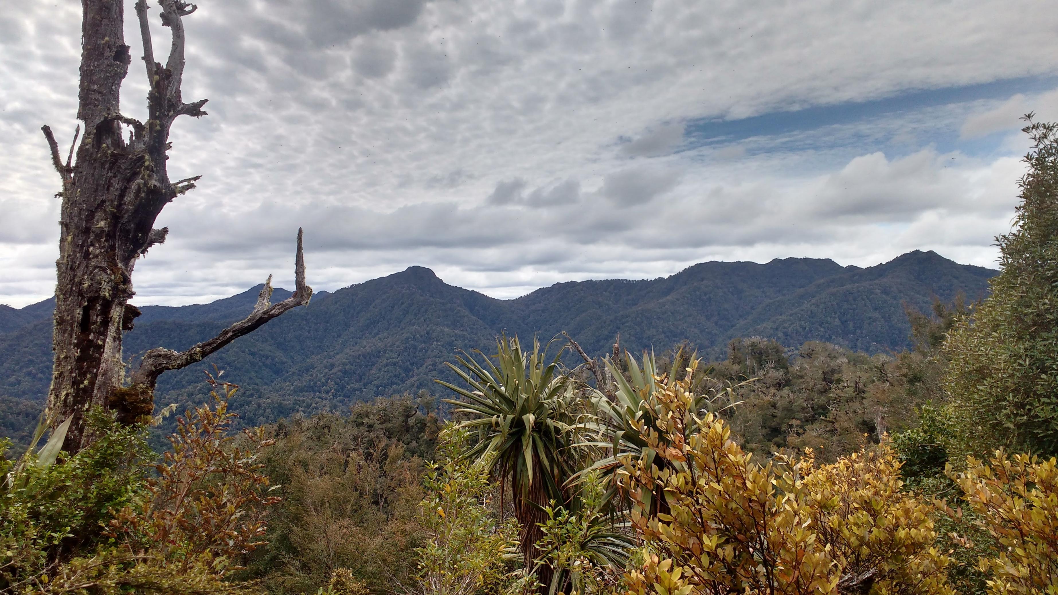 Name:  IMG_20161024_113417173_HDR.jpg
Views: 515
Size:  1.01 MB